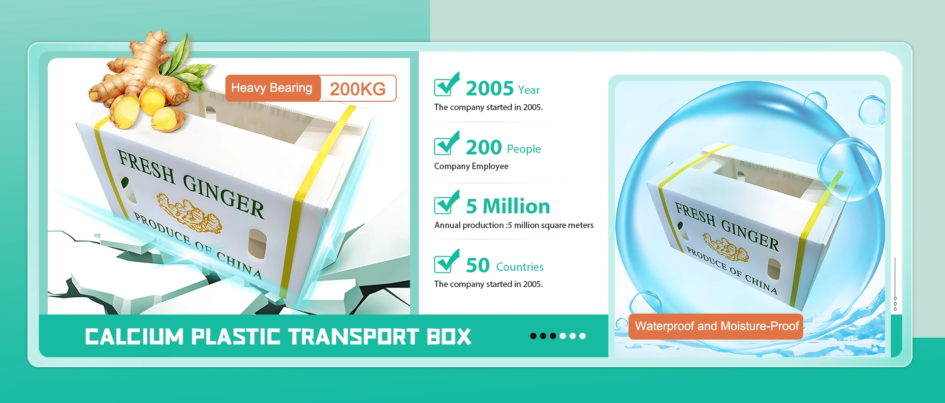 Kina kalciumplast transportlåda tillverkare