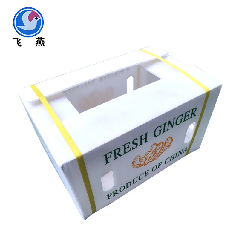 Varför väljer fler och fler företag att använda Calcium Plastic Hollow Board Box?